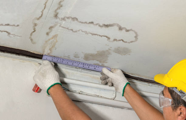 24/7 Emergency Structural Drying experts in Morton, WA